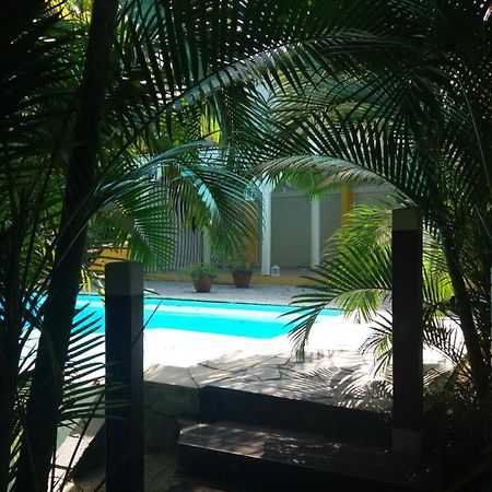 Chambre D'Hote Et Loft Dans Maison De Charme Piscine A Debordement La Villa Gialla Schoelcher Kültér fotó
