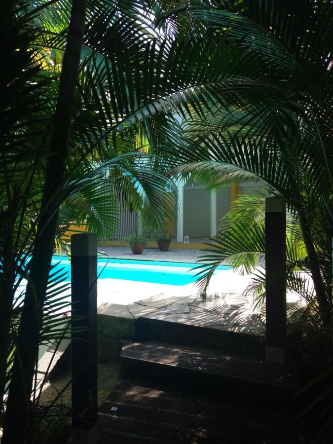 Chambre D'Hote Et Loft Dans Maison De Charme Piscine A Debordement La Villa Gialla Schoelcher Kültér fotó