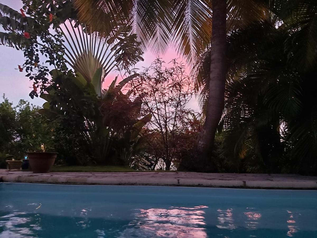 Chambre D'Hote Et Loft Dans Maison De Charme Piscine A Debordement La Villa Gialla Schoelcher Kültér fotó