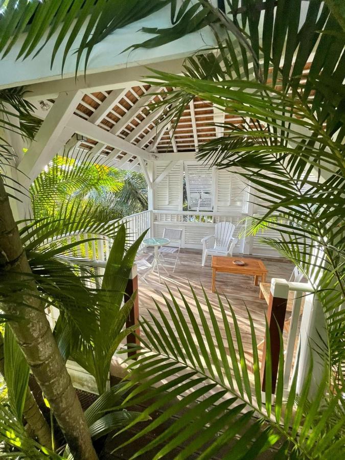Chambre D'Hote Et Loft Dans Maison De Charme Piscine A Debordement La Villa Gialla Schoelcher Kültér fotó