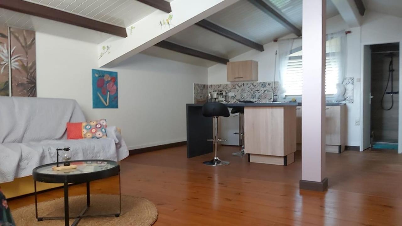 Chambre D'Hote Et Loft Dans Maison De Charme Piscine A Debordement La Villa Gialla Schoelcher Kültér fotó